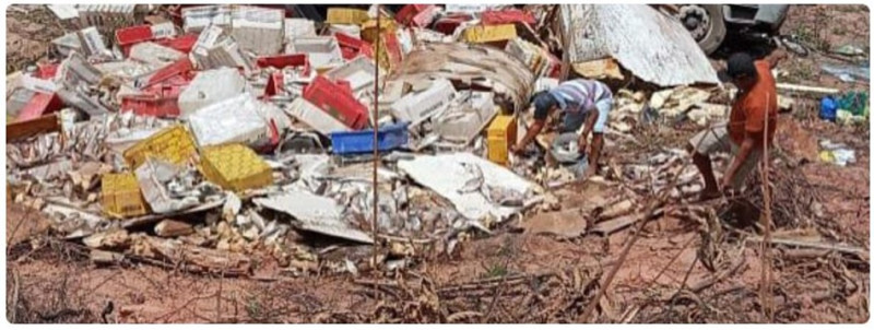 CAMINHÃO CARREGADO DE PEIXE TOMBA NA BR-222 NO MA E CARGA É SAQUEADA