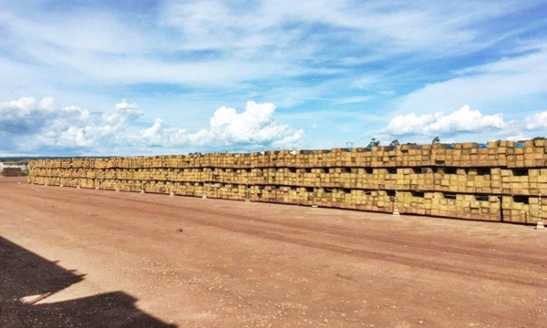 AÇAILÂNDIA - Investigação do Ibama descobre madeira nativa da Amazônia em pátio da Vale