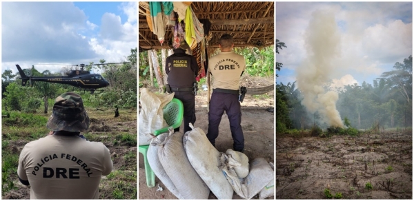 POLÍCIA FEDERAL REALIZA OPERAÇÃO DE COMBATE AO PLANTIO ILEGAL DE MACONHA