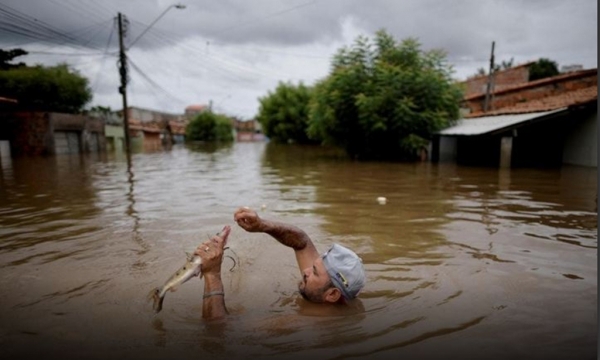 Foto de homem pegando peixe durante enchente em Imperatriz é destaque internacional