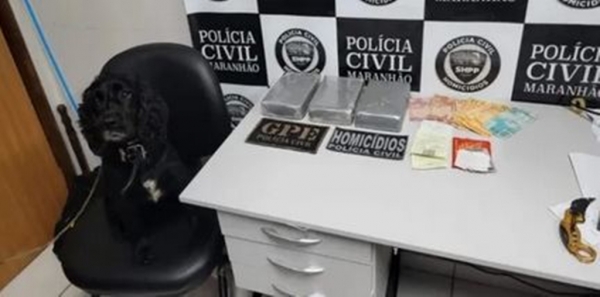 Mulher é presa com 3kg de cocaína avaliada em mais de R$ 250 mil em Timon