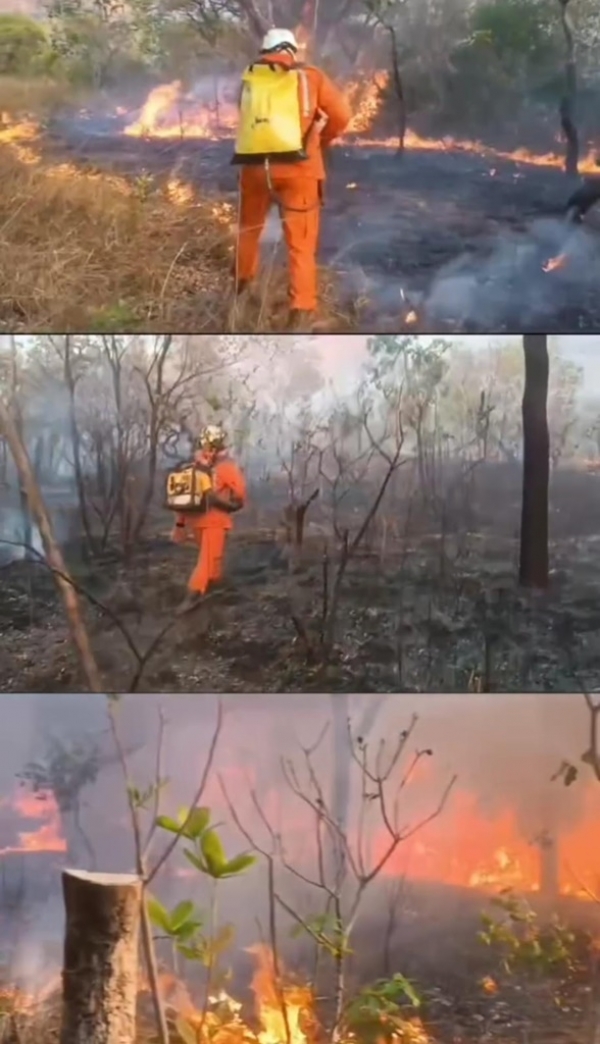 BOMBEIROS TENTAM CONTROLAR INCÊNDIO QUE JÁ DURA 15 DIAS NA CHAPADA DAS MESAS