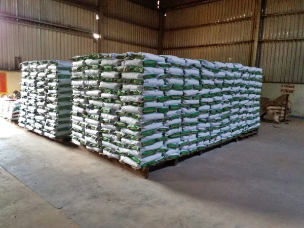 Governo entrega 830 toneladas de sementes de milho para produção da agricultura familiar