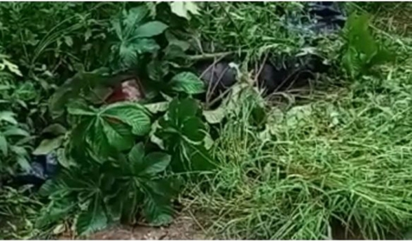 Corpo de homem é encontrado na Estrada de Ribamar, no Maranhão