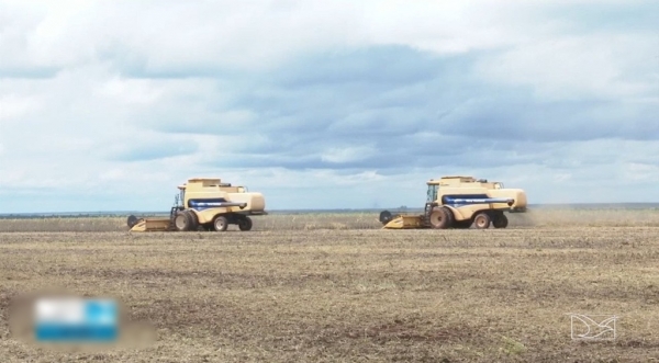 MA está entre estados que mais desmatam o cerrado para a agropecuária