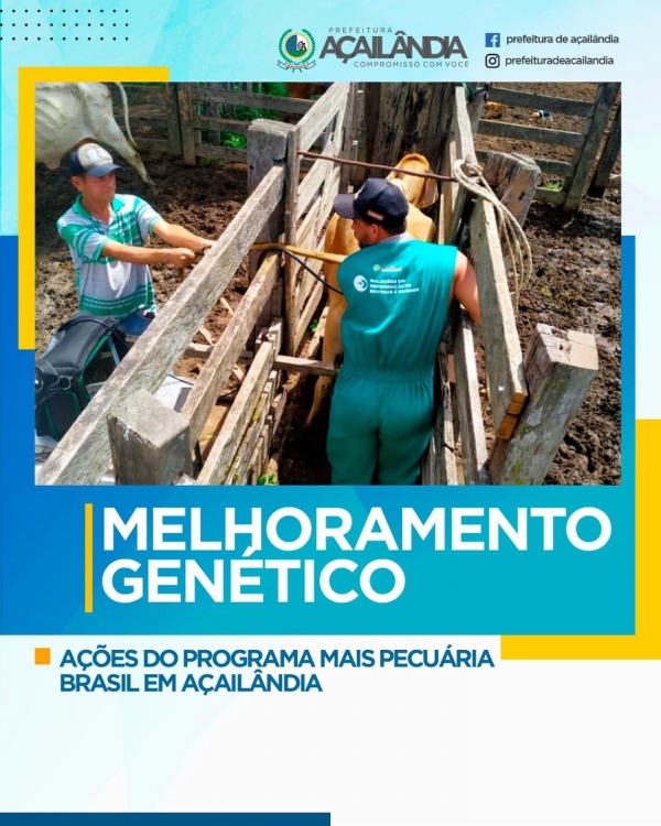 AÇÕES DO PROGRAMA MAIS PECUÁRIA BRASIL EM AÇAILÂNDIA
