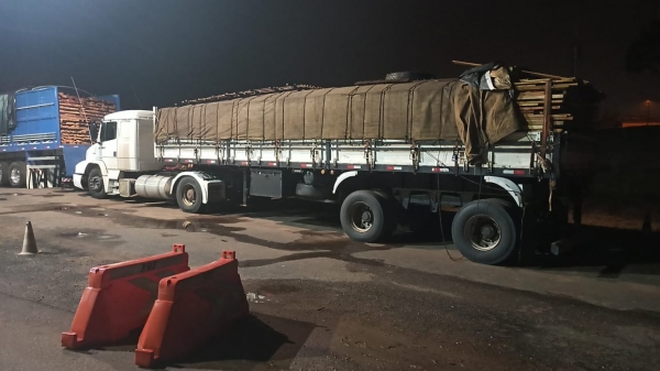 Crime ambiental: PRF apreende carregamento de madeira nativa ilegal