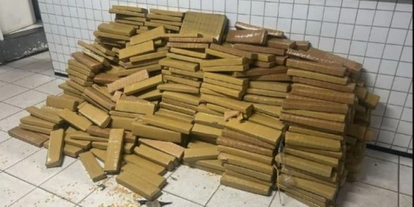 CENTENAS DE TABLETES DE MACONHA SÃO APREENDIDOS EM ÁREA DE MATA NA GRANDE SÃO LUÍS