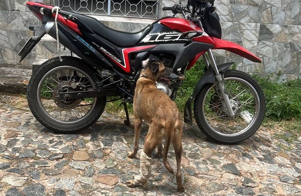VÍDEO: IDOSO É PRESO EM FLAGRANTE EM SÃO LUÍS POR ARRASTAR CACHORRO AMARRADO A MOTO