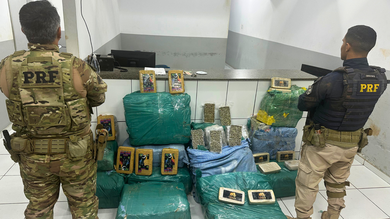 PRF APREENDE MAIS DE 360 KG DE DROGAS ESCONDIDOS EM CARGA DE MILHO NO MARANHÃO