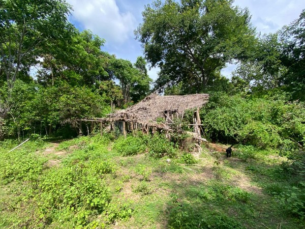 AUTORIZADO PELA JUSTIÇA, MENINO DE 8 ANOS AJUDA NAS BUSCAS E APONTA LOCAL ONDE ESTEVE COM PRIMOS DESAPARECIDOS NO MA