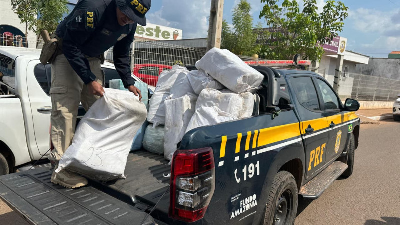 QUASE UMA TONELADA DE SKUNK É APREENDIDA EM BOM JESUS DAS SELVAS (VÍDEO)