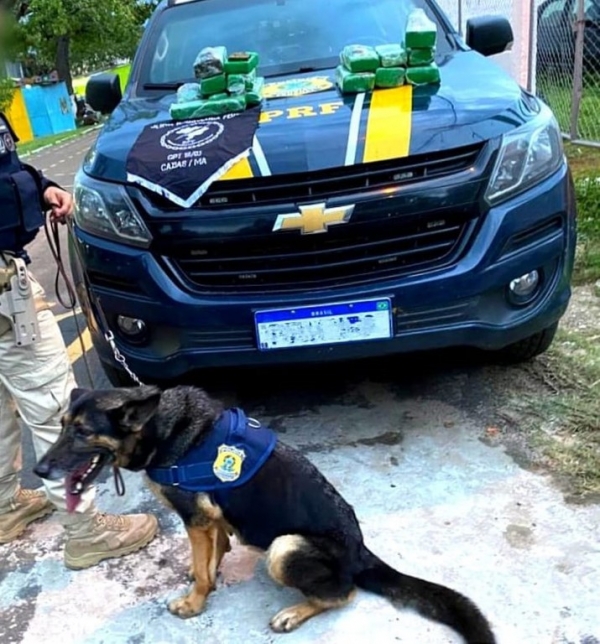 PRF apreende 14,7kg de substância análoga à maconha em Peritoró/MA