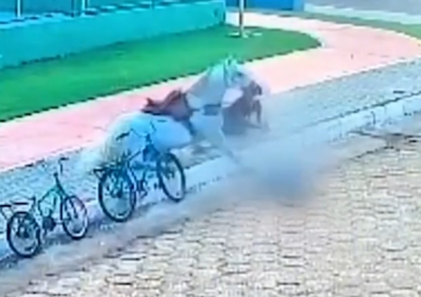 CAVALO DESGOVERNADO: IDOSA É ATINGIDA E SOFRE VÁRIAS LESÕES PELO CORPO