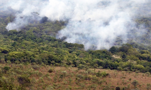 Decreto proíbe queimadas em todo o Brasil por 120 dias