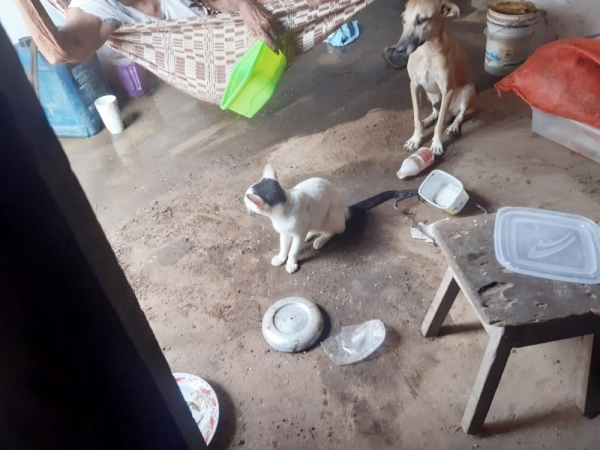 ROSÁRIO - Ação do MPMA em conjunto com o Município resgata idosa que estava abandonada