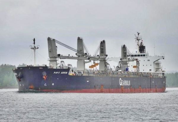 Navio é colocado em quarentena após tripulante testar para a Covid-19 em São Luís; Anvisa monitora caso