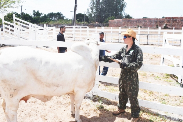 Concurso da Aged tem edital lançado e inscrições começam em Janeiro