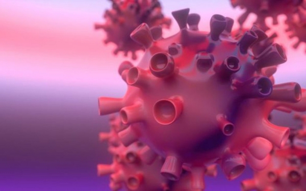 Sobe para 1,7 mil o número de pessoas recuperadas do novo coronavírus no Maranhão