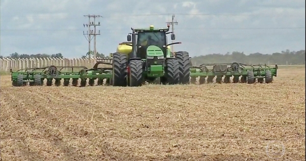 Abertura da colheita de soja 2018 será realizada em Balsas