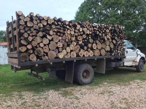 Polícia Federal apreende 11 toneladas ilegais de madeira no Maranhão