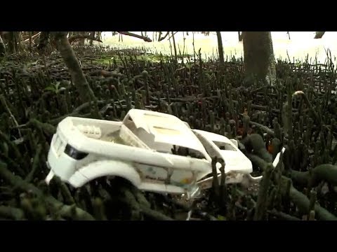 Descarte irregular de lixo ameaça ecossistema de manguezais na capital