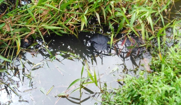 Corpo de homem é encontrado boiando em lago de Imperatriz