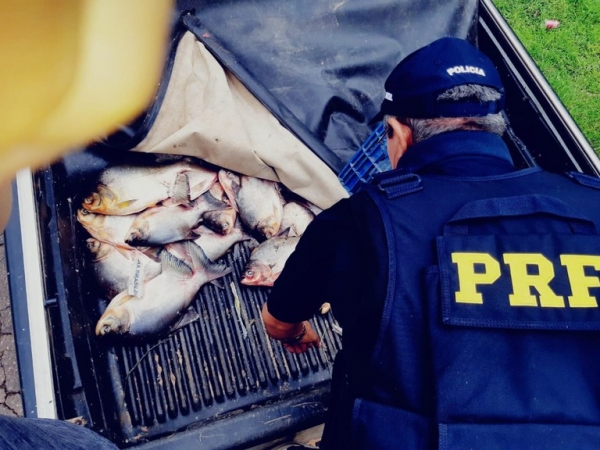 Peixes sem refrigeração são apreendidos pela PRF na BR-316