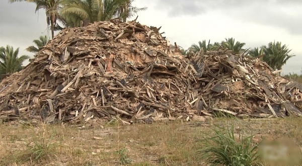 Empresa é multada por crime ambiental no Maranhão