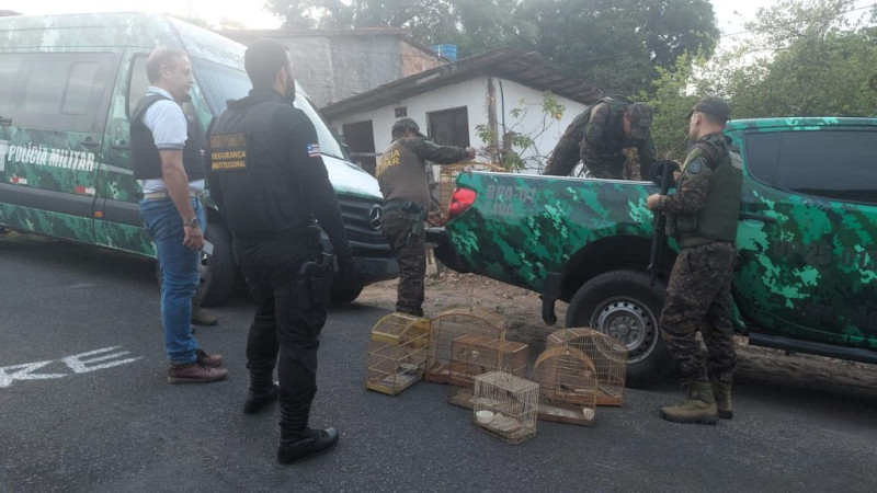 OPERAÇÃO LIBERTAS – MPMA PARTICIPA DE AÇÃO NACIONAL E RESGATA 51 AVES SILVESTRES EM SÃO LUÍS