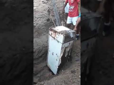 Filho mata a mãe e enterra o corpo em geladeira no quintal de casa