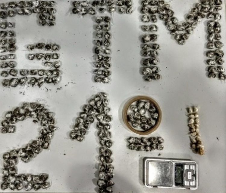 Polícia apreende mais de 200 papelotes de maconha na zona rural de São Luís