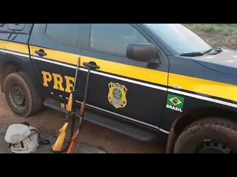 PRF apreende duas armas de fogo que seriam usadas na caça de animais silvestres